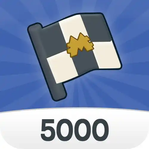 5000 Flags